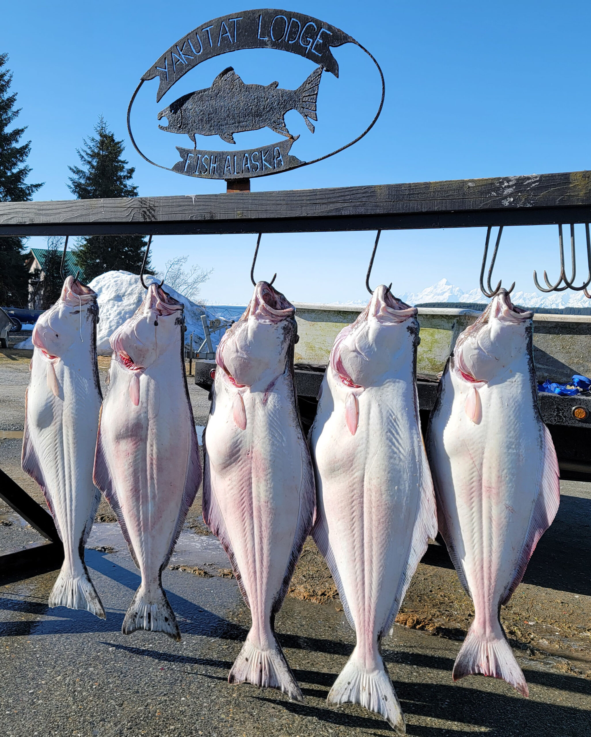 alaska fishing report