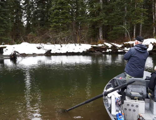 Steelhead Fishing Guide: Get in on some 2023