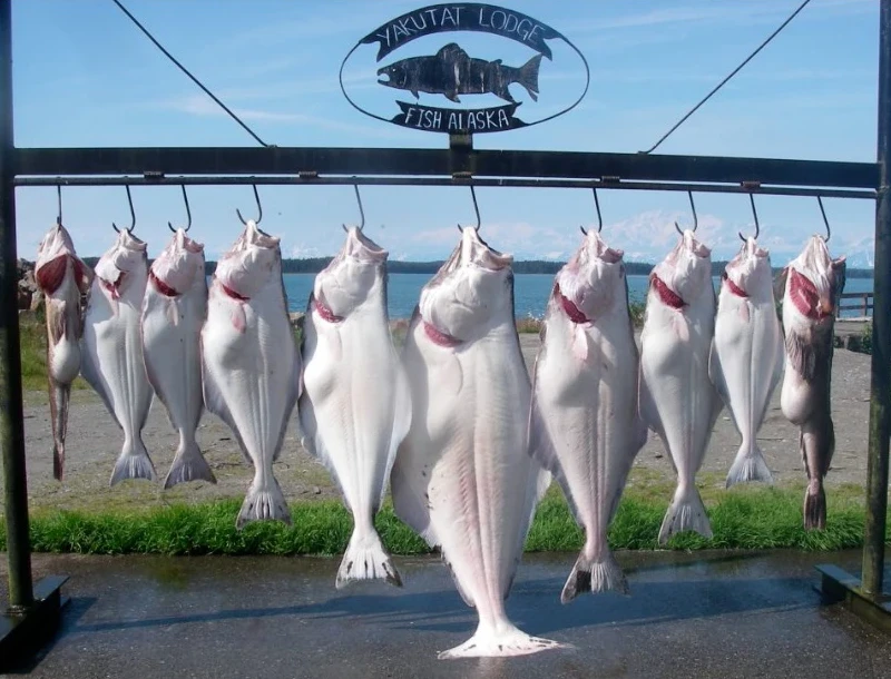 Alaska fishing trip pricing 2