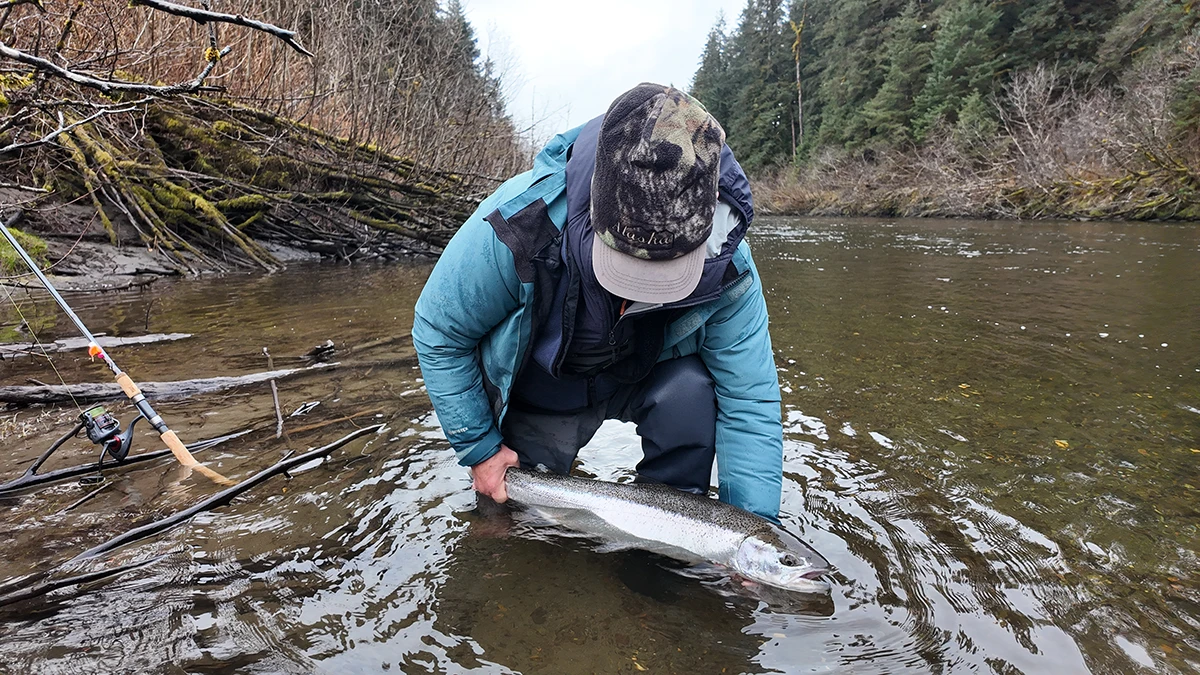 How to fish for steelhead